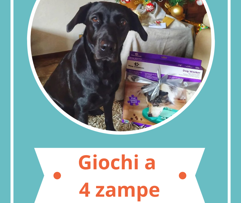Benessere a 4 zampe – Giochi di attivazione mentale e masticativi