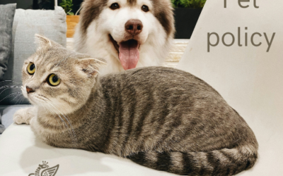 Pet policy